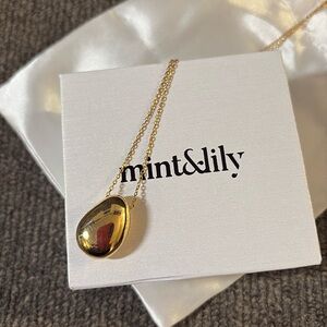 NEW IN BOX WITH ORIGINAL DRAWSTRING BAG - Mint & Lily PEBBLE PENDANT NECKLACE